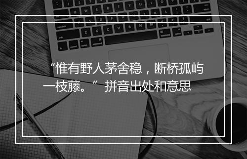 “惟有野人茅舍稳，断桥孤屿一枝藤。”拼音出处和意思