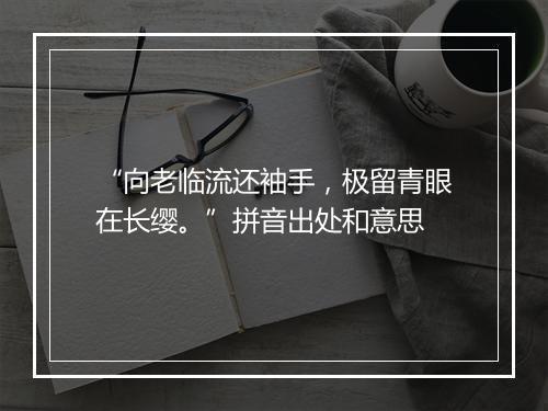 “向老临流还袖手，极留青眼在长缨。”拼音出处和意思