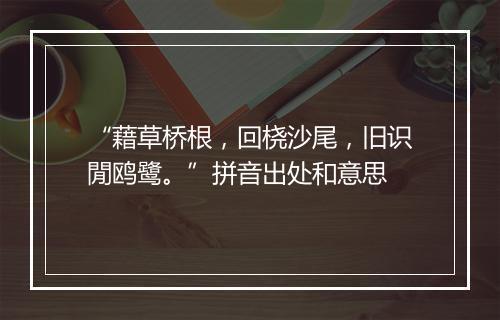 “藉草桥根，回桡沙尾，旧识閒鸥鹭。”拼音出处和意思