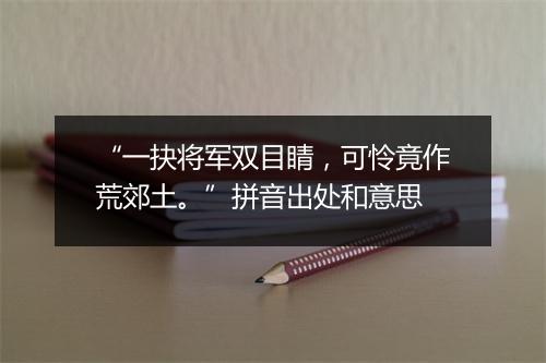 “一抉将军双目睛，可怜竟作荒郊土。”拼音出处和意思