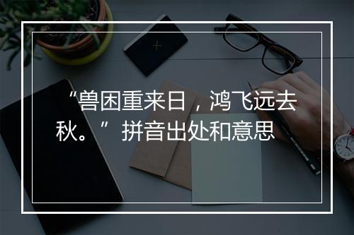 “兽困重来日，鸿飞远去秋。”拼音出处和意思