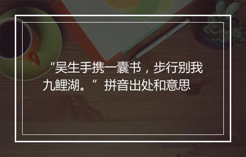 “吴生手携一囊书，步行别我九鲤湖。”拼音出处和意思