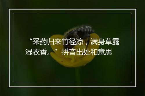 “采药归来竹径凉，满身草露湿衣香。”拼音出处和意思