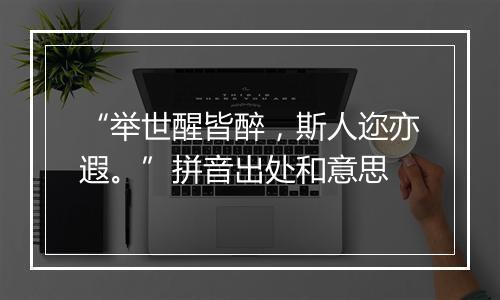 “举世醒皆醉，斯人迩亦遐。”拼音出处和意思