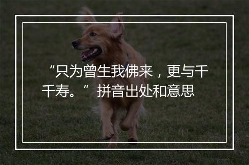 “只为曾生我佛来，更与千千寿。”拼音出处和意思