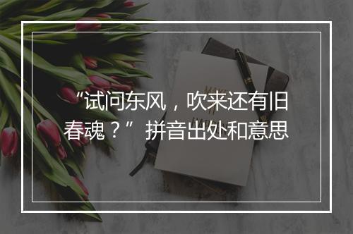 “试问东风，吹来还有旧春魂？”拼音出处和意思