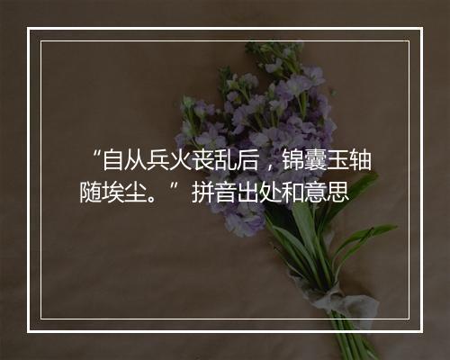 “自从兵火丧乱后，锦囊玉轴随埃尘。”拼音出处和意思