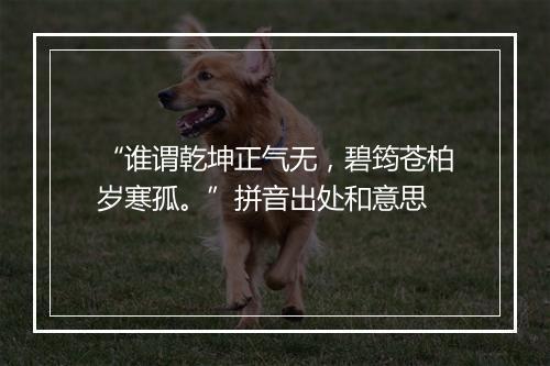 “谁谓乾坤正气无，碧筠苍柏岁寒孤。”拼音出处和意思