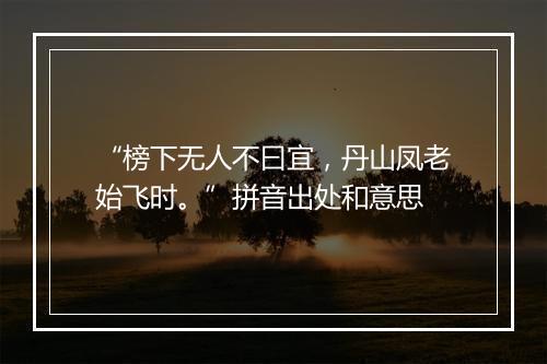 “榜下无人不曰宜，丹山凤老始飞时。”拼音出处和意思