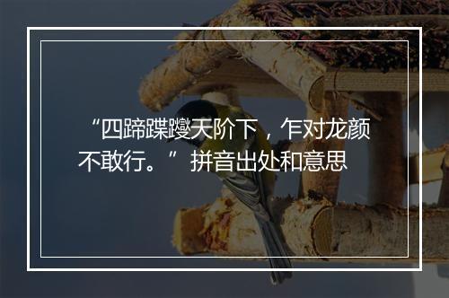 “四蹄蹀躞天阶下，乍对龙颜不敢行。”拼音出处和意思