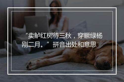 “卖鲈红树待三秋，穿鳜绿杨刚二月。”拼音出处和意思