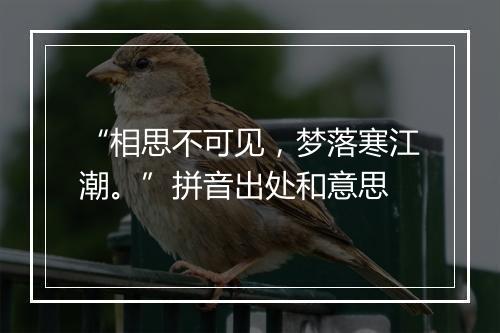 “相思不可见，梦落寒江潮。”拼音出处和意思