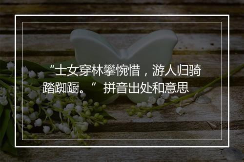 “士女穿林攀惋惜，游人归骑踏踟蹰。”拼音出处和意思