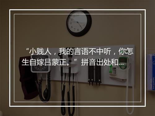 “小贱人，我的言语不中听，你怎生自嫁吕蒙正。”拼音出处和意思