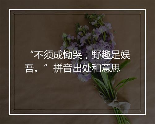 “不须成恸哭，野趣足娱吾。”拼音出处和意思