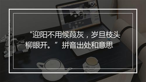 “迎阳不用候葭灰，岁旦枝头柳眼开。”拼音出处和意思