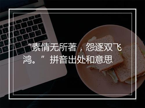 “素情无所著，怨逐双飞鸿。”拼音出处和意思