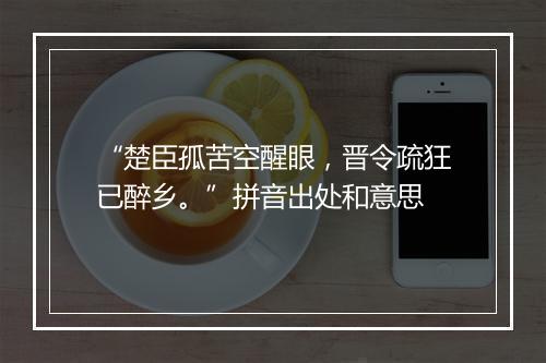 “楚臣孤苦空醒眼，晋令疏狂已醉乡。”拼音出处和意思