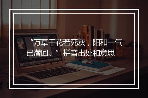 “万草千花若死灰，阳和一气已潜回。”拼音出处和意思