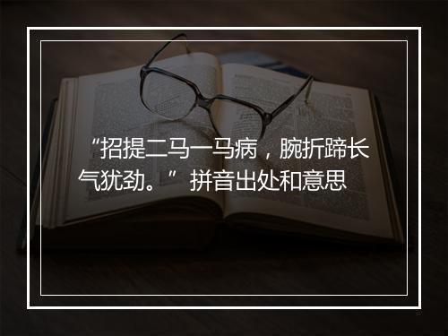 “招提二马一马病，腕折蹄长气犹劲。”拼音出处和意思