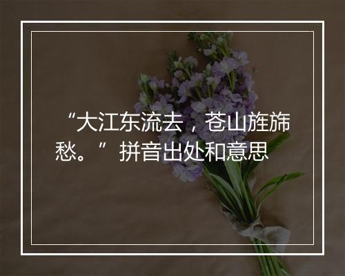 “大江东流去，苍山旌旆愁。”拼音出处和意思