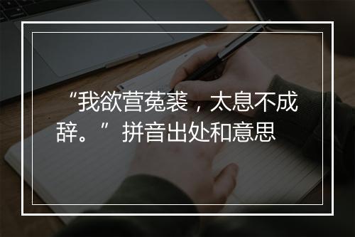 “我欲营菟裘，太息不成辞。”拼音出处和意思