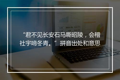 “君不见长安石马嘶昭陵，会稽社宇啼冬青。”拼音出处和意思