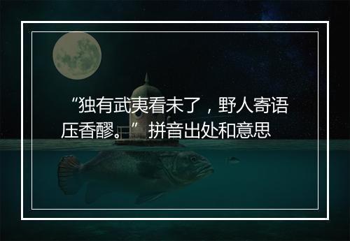 “独有武夷看未了，野人寄语压香醪。”拼音出处和意思