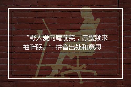 “野人爱向庵前笑，赤玃频来袖畔眠。”拼音出处和意思