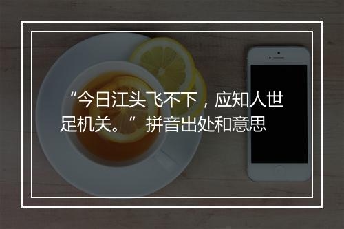 “今日江头飞不下，应知人世足机关。”拼音出处和意思