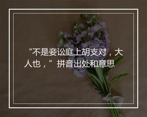 “不是妾讼庭上胡支对，大人也，”拼音出处和意思