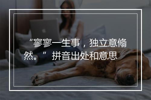 “寥寥一生事，独立意翛然。”拼音出处和意思