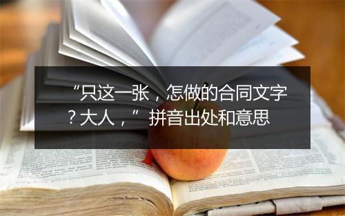 “只这一张，怎做的合同文字？大人，”拼音出处和意思