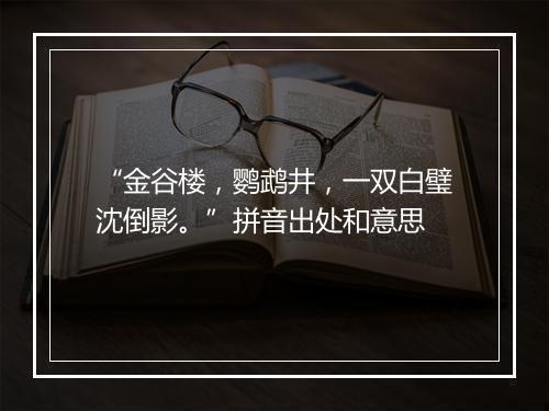 “金谷楼，鹦鹉井，一双白璧沈倒影。”拼音出处和意思