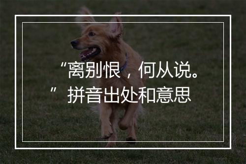 “离别恨，何从说。”拼音出处和意思