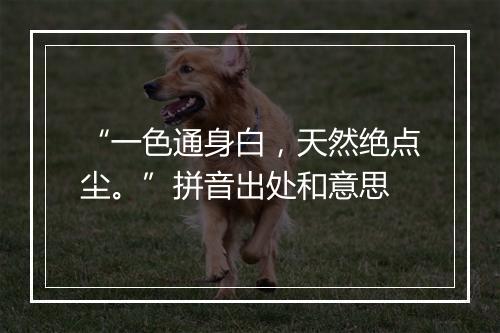 “一色通身白，天然绝点尘。”拼音出处和意思