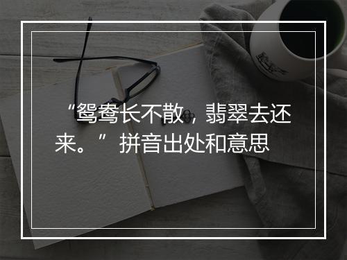 “鸳鸯长不散，翡翠去还来。”拼音出处和意思