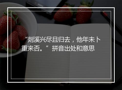 “剡溪兴尽且归去，他年未卜重来否。”拼音出处和意思