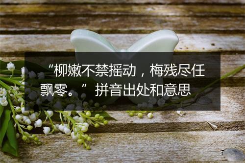 “柳嫩不禁摇动，梅残尽任飘零。”拼音出处和意思