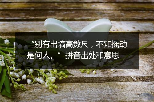 “别有出墙高数尺，不知摇动是何人。”拼音出处和意思