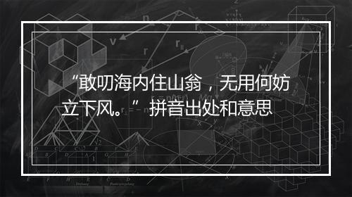 “敢叨海内住山翁，无用何妨立下风。”拼音出处和意思